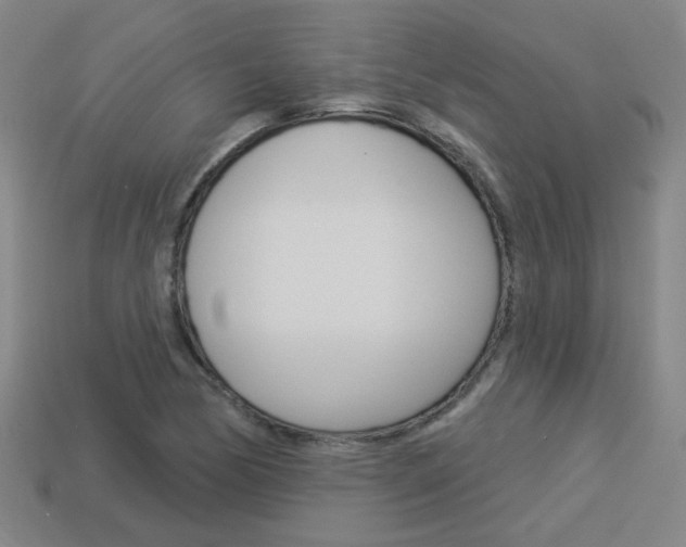 X0000113981170200910020943