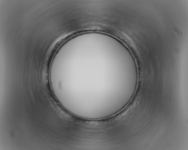 X0000113981172200910020943