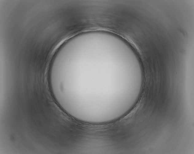 X0000113981173200910020943