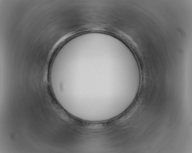X0000113981174200910020943