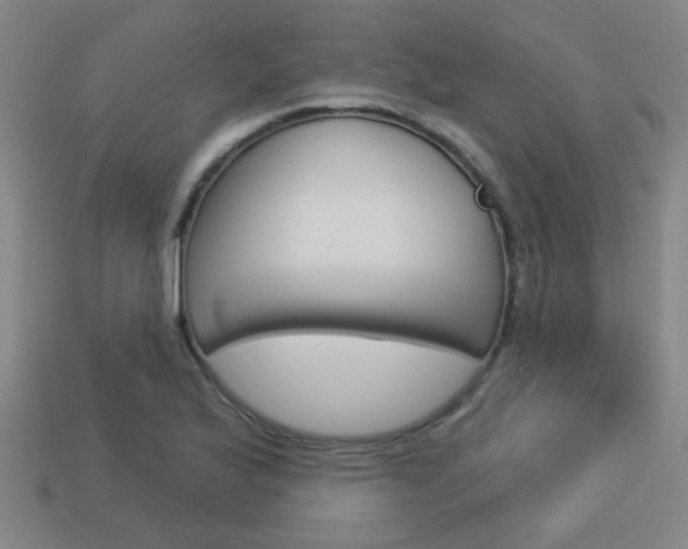 X0000113981175200910020943