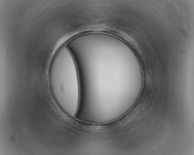 X0000113981176200910020943