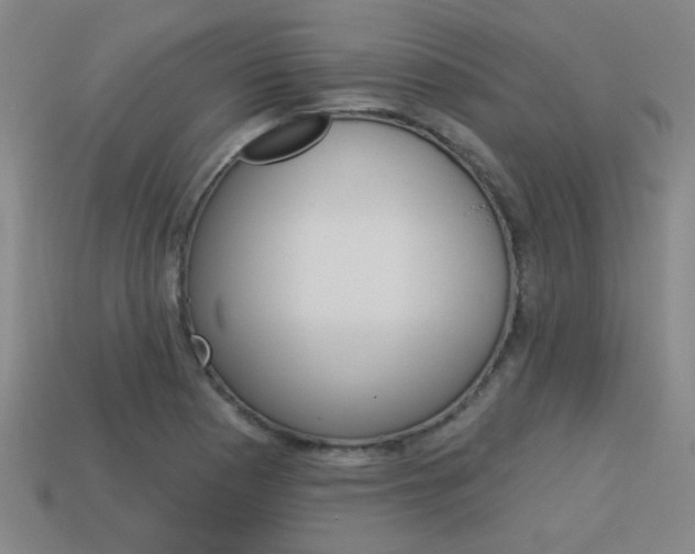 X0000113981177200910020943