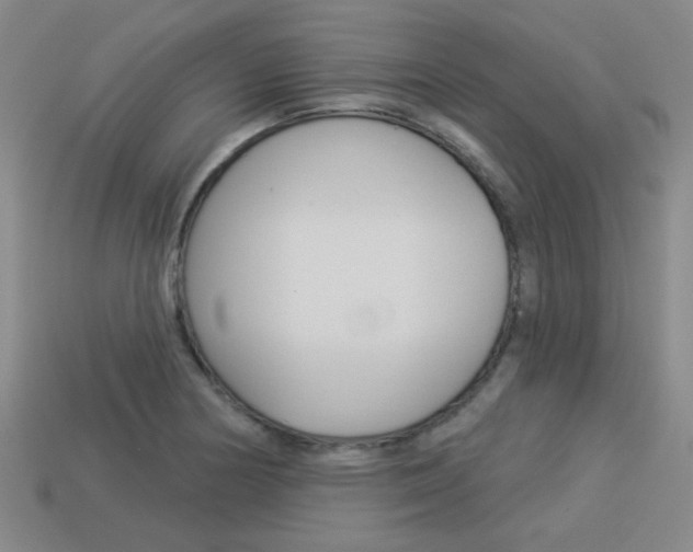 X0000113981178200910020943