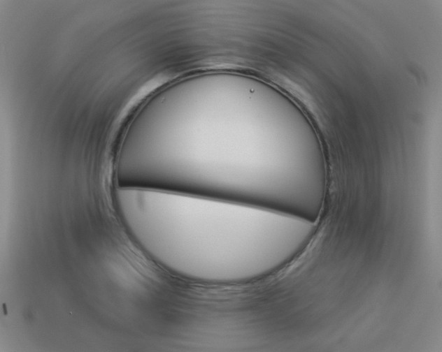X0000113981179200910020943