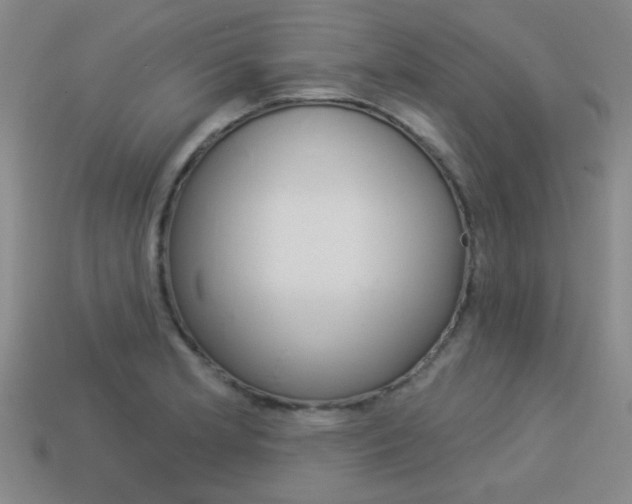 X0000113981181200910020943