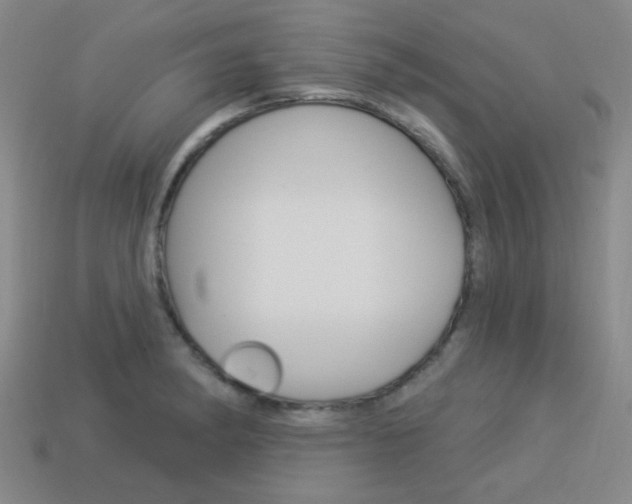 X0000113981182200910020943