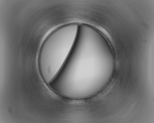 X0000113981183200910020942