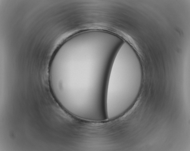 X0000113981184200910020942