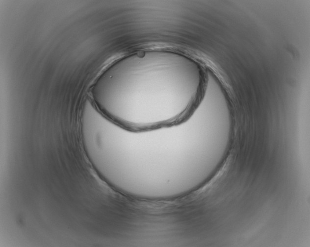 X0000113981185200910020942