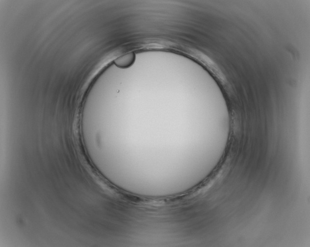 X0000113981186200910020942