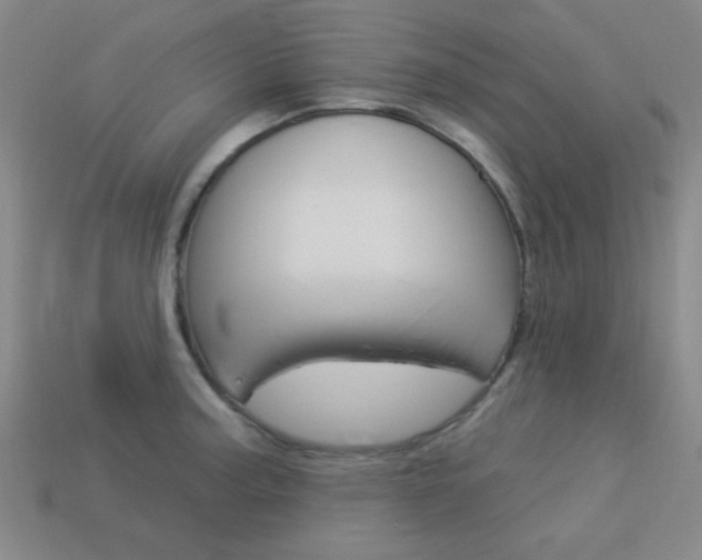 X0000113981187200910020942