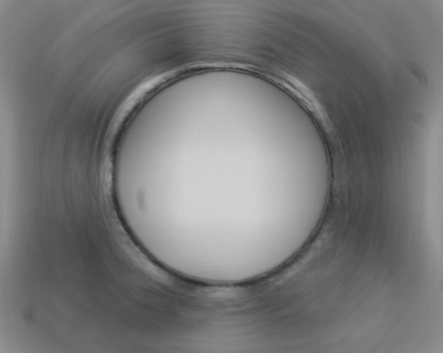 X0000113981188200910020942