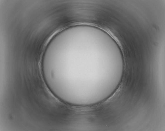X0000113981189200910020942