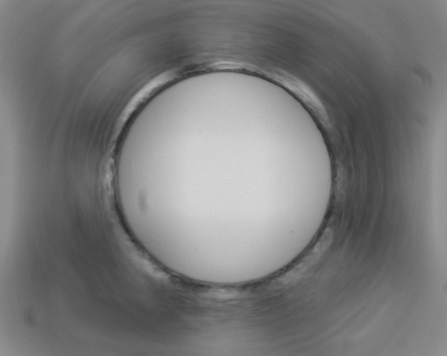 X0000113981190200910020942