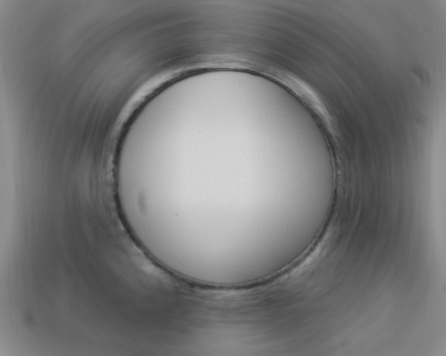 X0000113981192200910020942