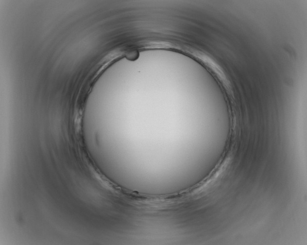 X0000113981193200910020942