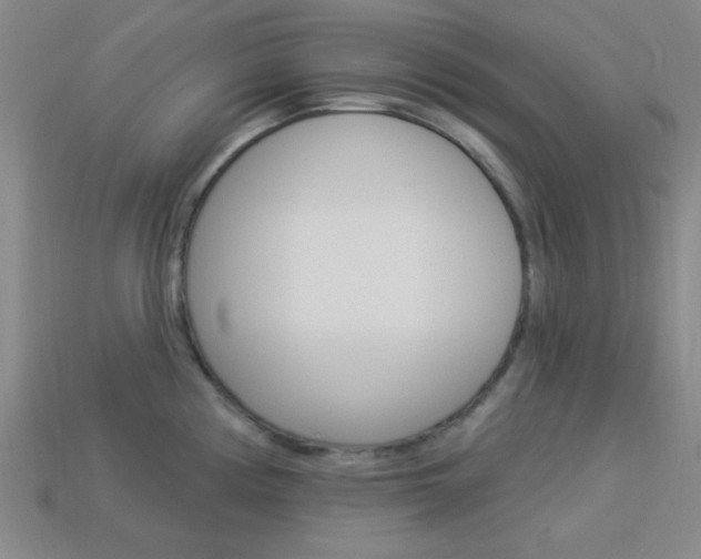 X0000113981194200910020942