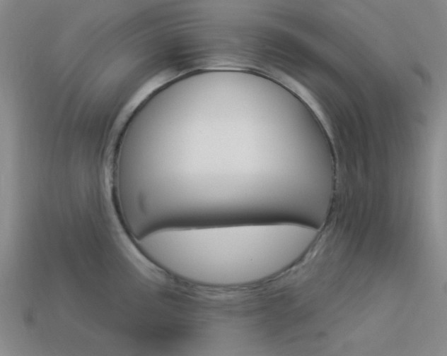 X0000113981195200910020942