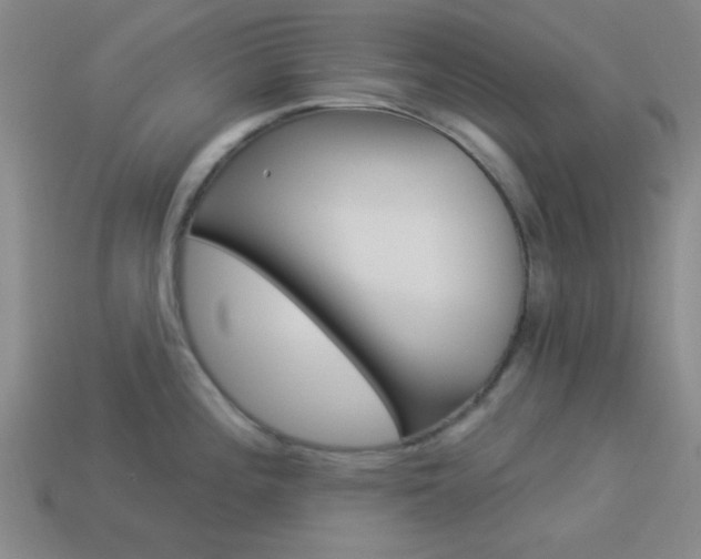 X0000113981196200910020942