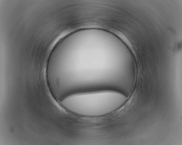 X0000113981197200910020942