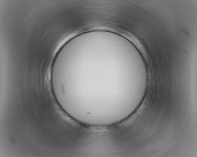 X0000113981198200910020942