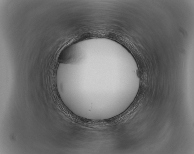 X0000113981201200910020942