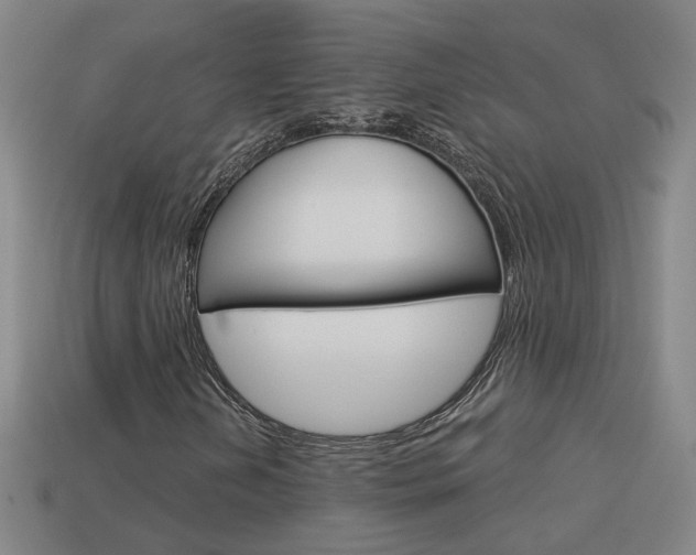 X0000113981202200910020942