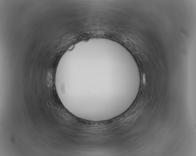X0000113981203200910020942