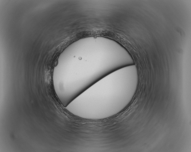 X0000113981204200910020942
