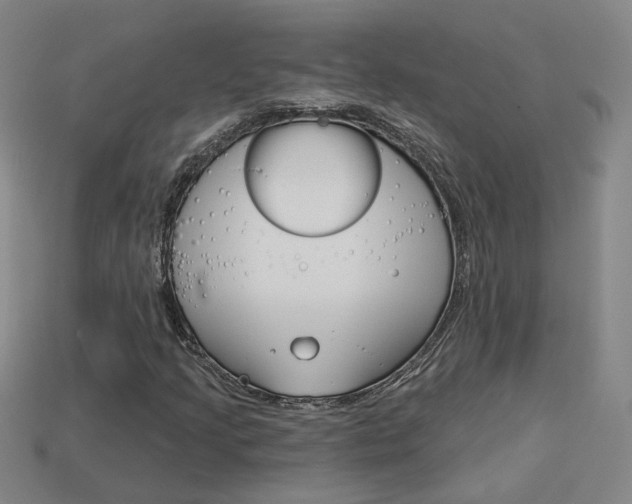X0000113981205200910020942