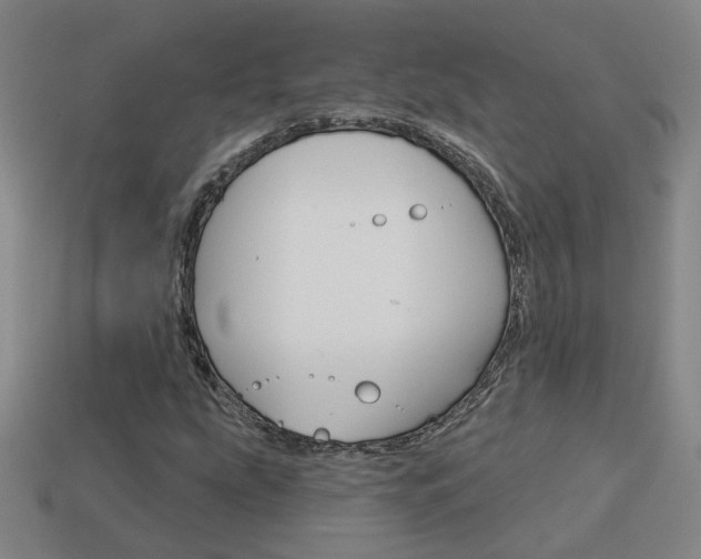 X0000113981207200910020942