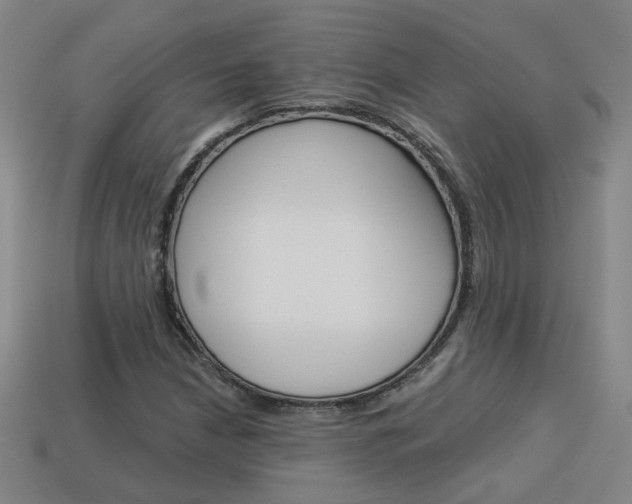 X0000113981210200910020942