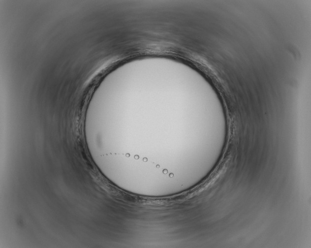 X0000113981211200910020942
