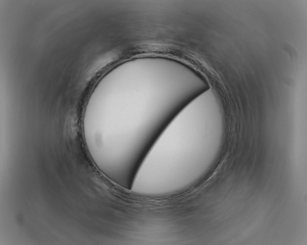 X0000113981213200910020942
