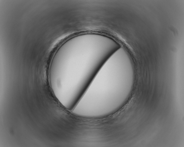 X0000113981214200910020942