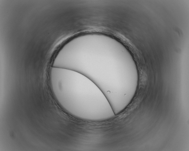 X0000113981215200910020942