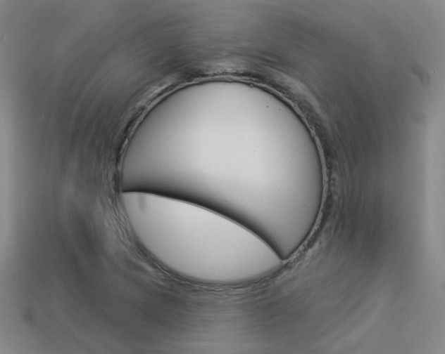 X0000113981217200910020942