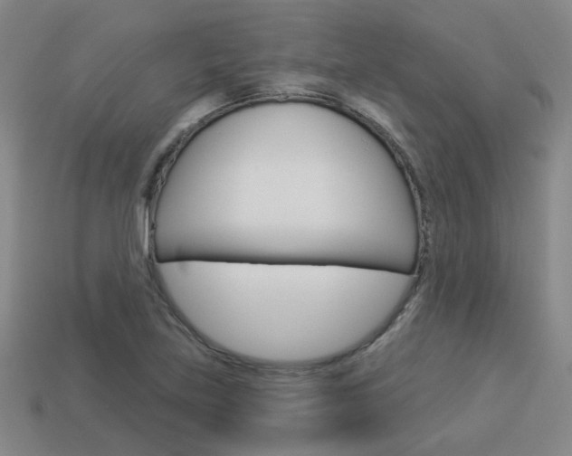 X0000113981219200910020942