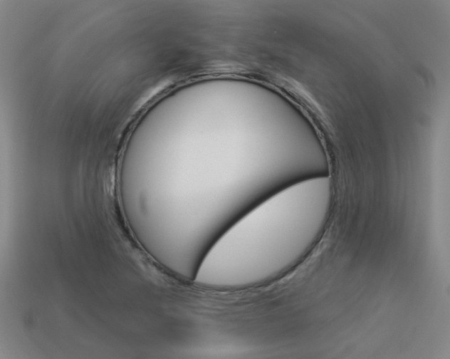 X0000113981220200910020942