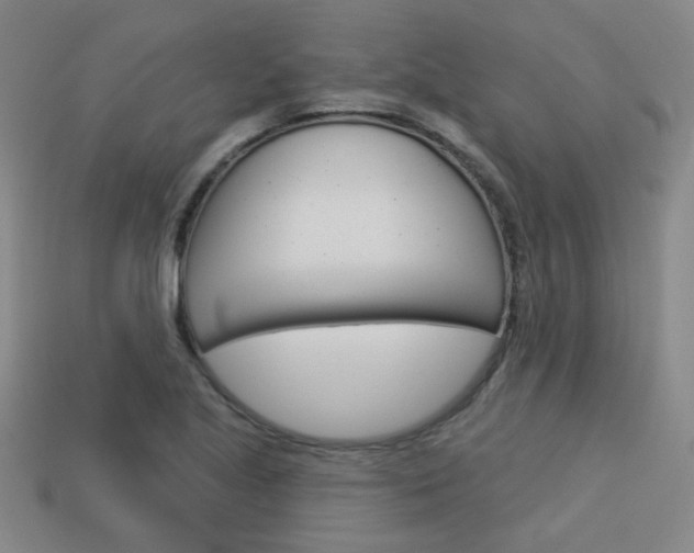 X0000113981221200910020942