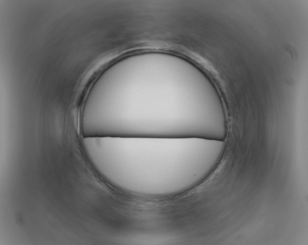 X0000113981223200910020942