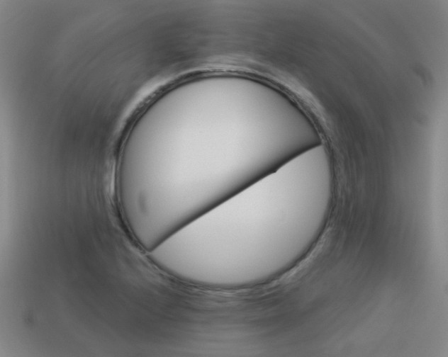 X0000113981224200910020942