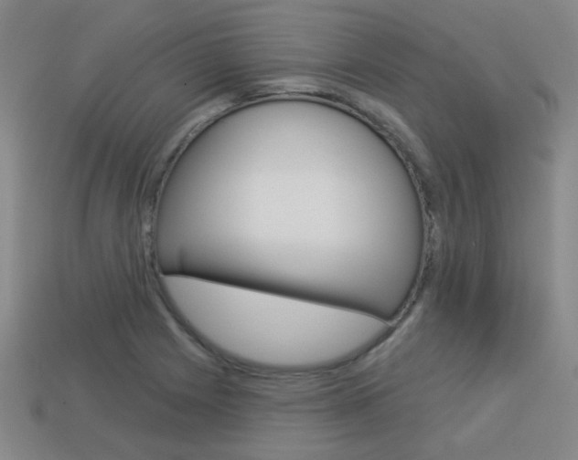 X0000113981225200910020942