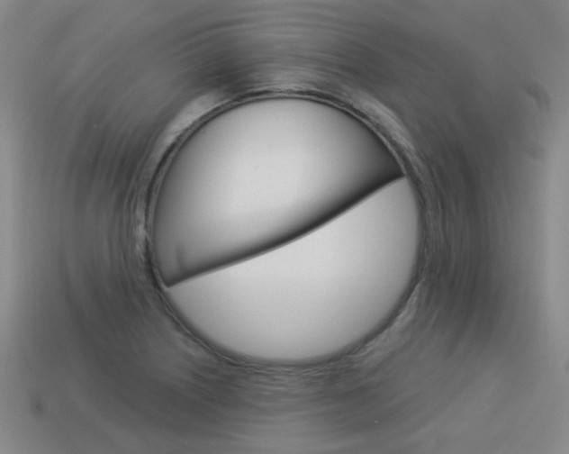 X0000113981226200910020942