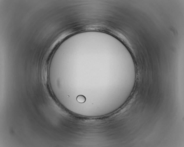X0000113981227200910020942