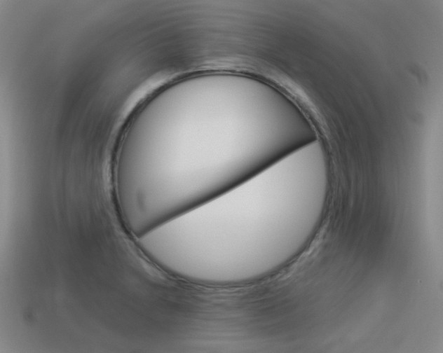 X0000113981230200910020942