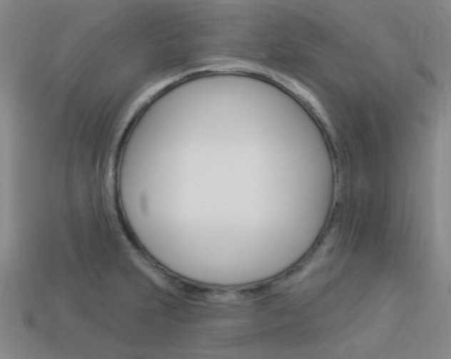 X0000113981231200910020942