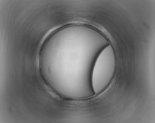 X0000113981232200910020942