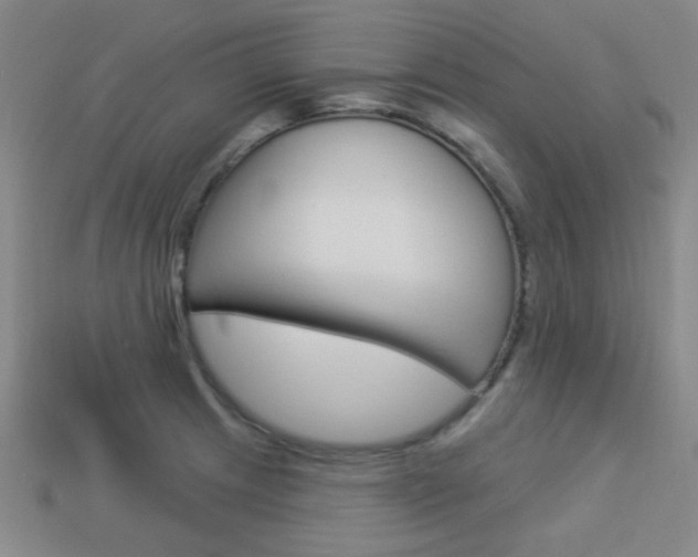 X0000113981233200910020942